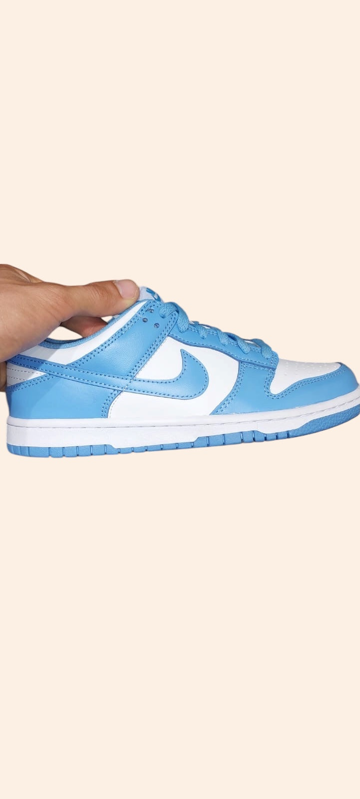 Nike Dunk University Blue
